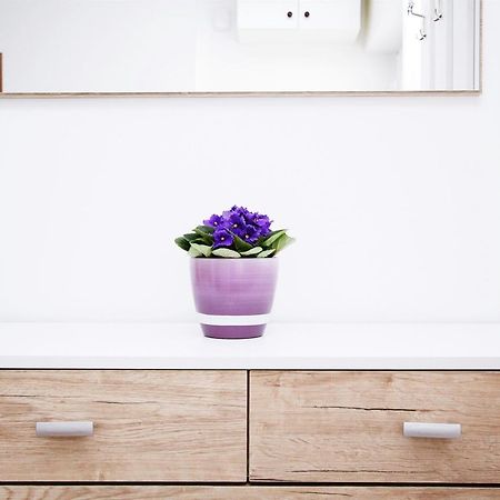 Apartment Anica تروغير المظهر الخارجي الصورة