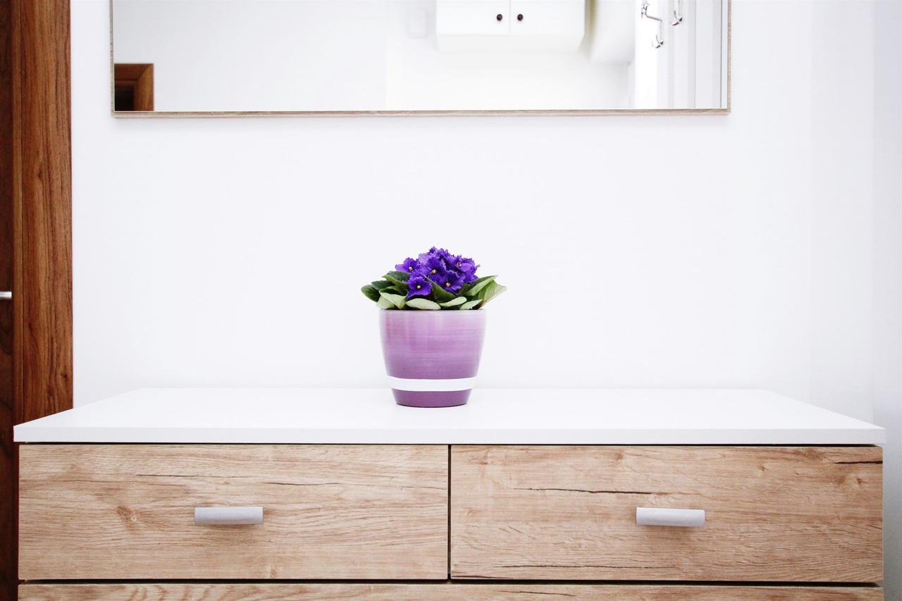 Apartment Anica تروغير المظهر الخارجي الصورة